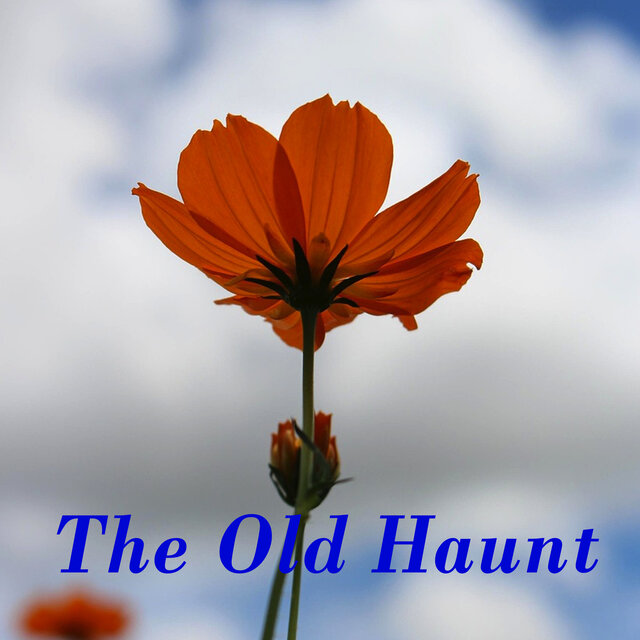 The Old Haunt