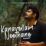 Kanavellam Neethane
