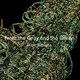 Cover art for album From the Gray and the Green by Marc Barreca