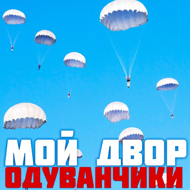 Одуванчики