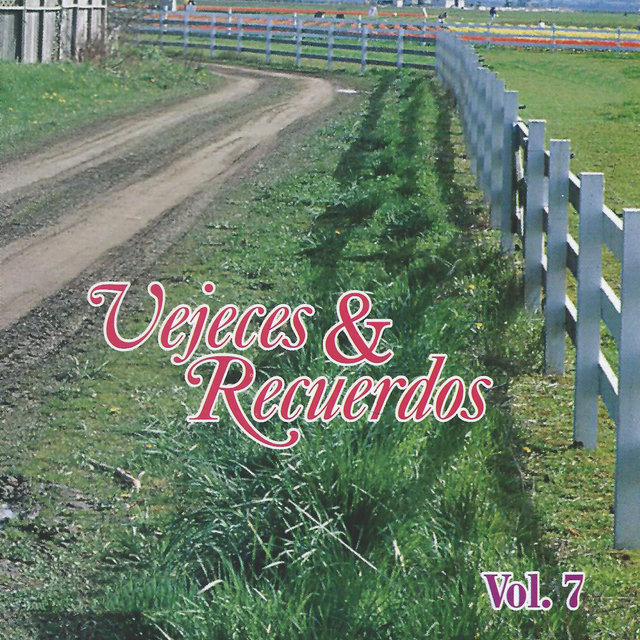 Vejeces y Recuerdos, Vol. 7
