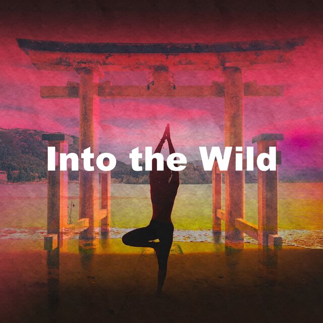 Into the Wild