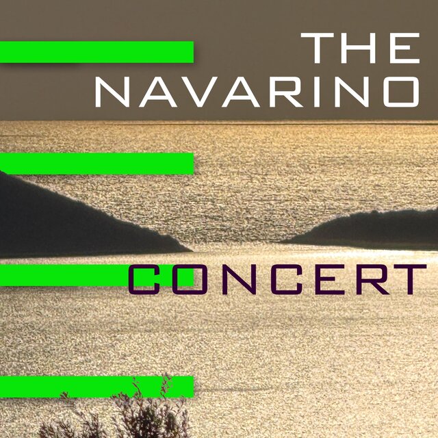 The Navarino Concert