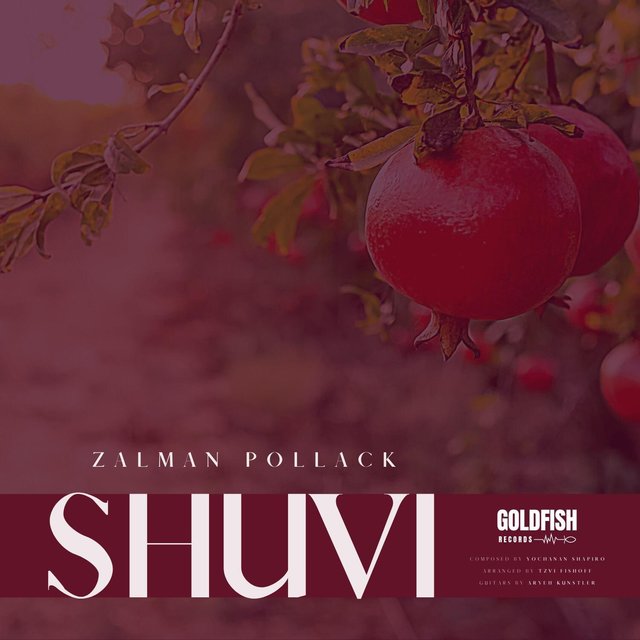 Shuvi