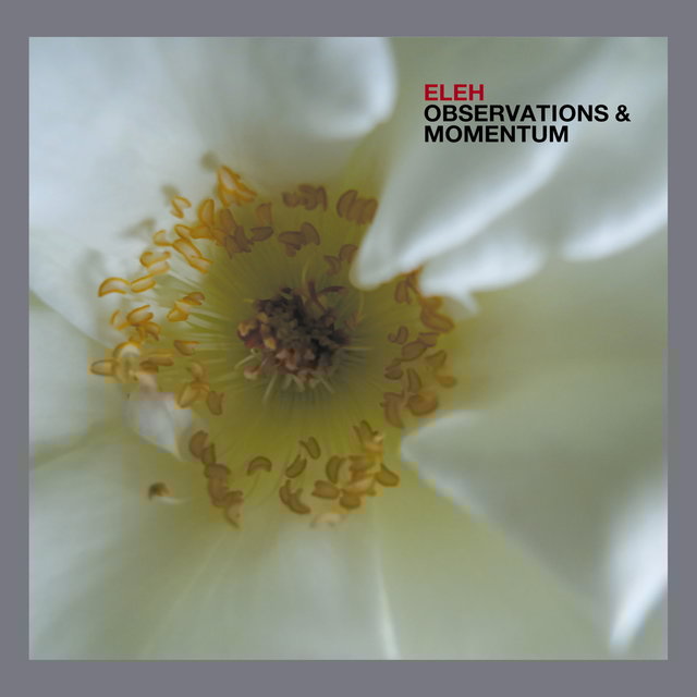 Observations & Momentum