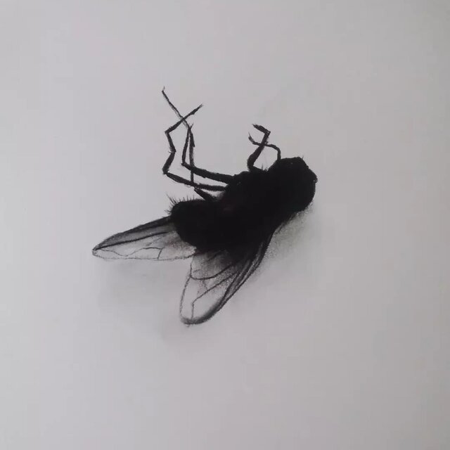 Memento Mori