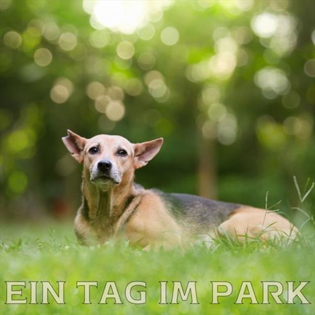 Ein Tag im Park