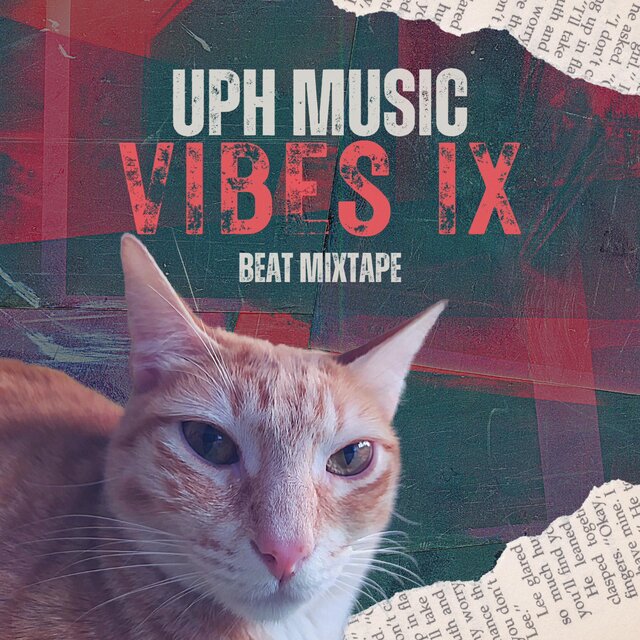 Vibes IX