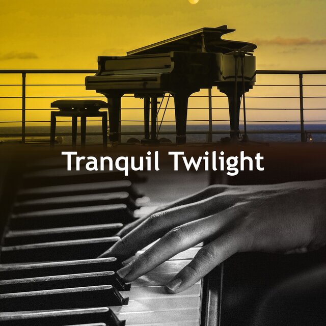 Tranquil Twilight