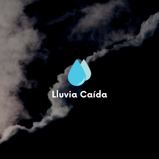Mojada