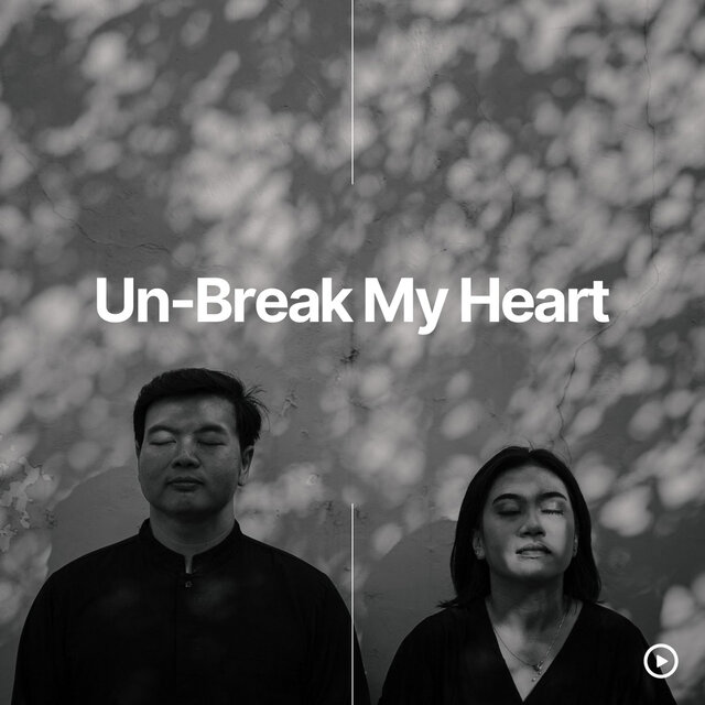 Un-Break My Heart (Cover)