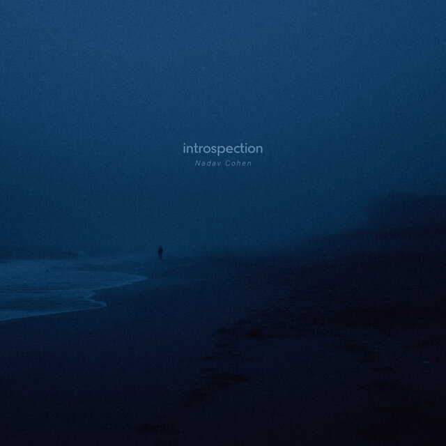 introspection