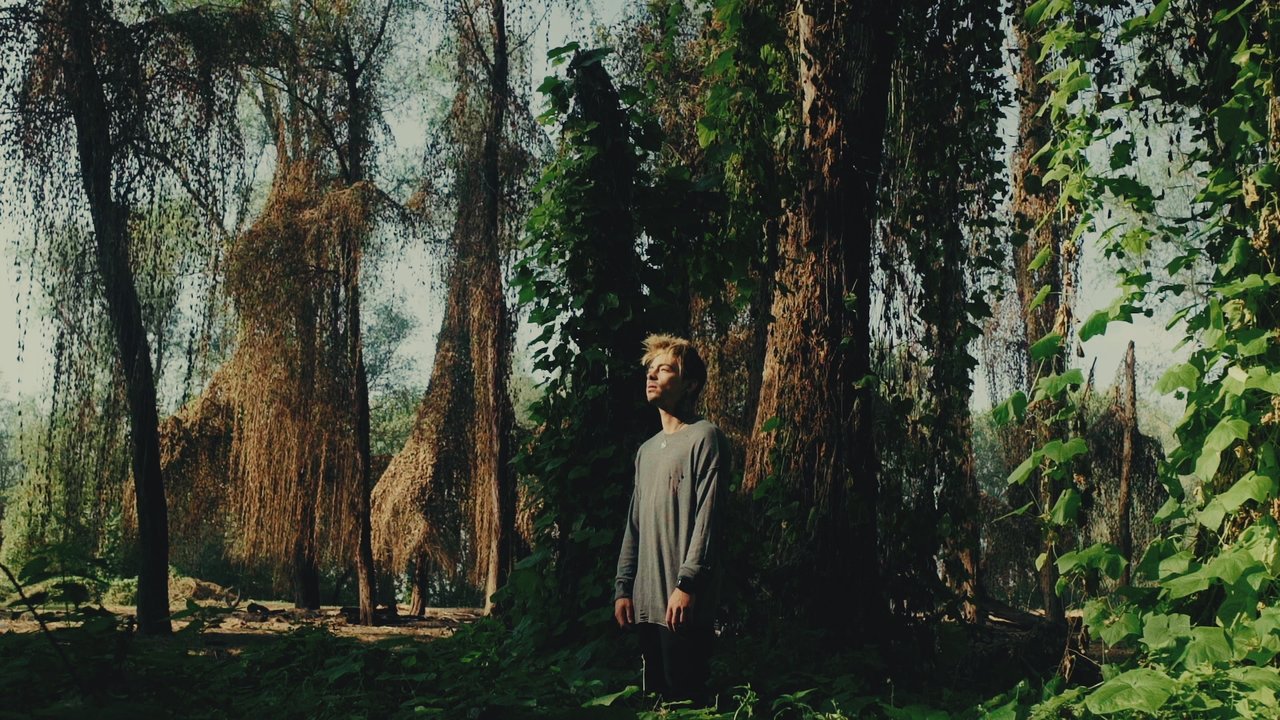 Coriandoli (Official Video)