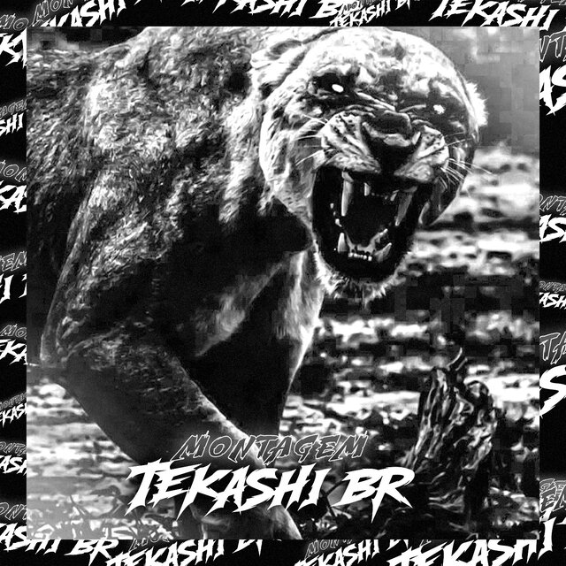 MONTAGEM TEKASHI BR