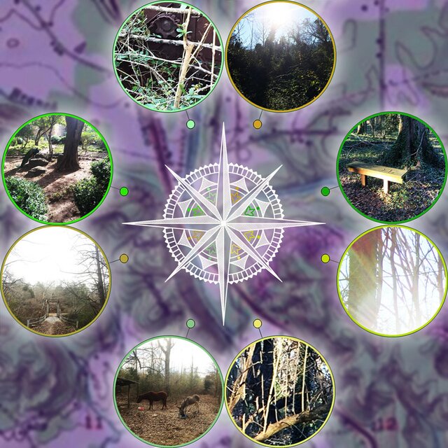 Expedition