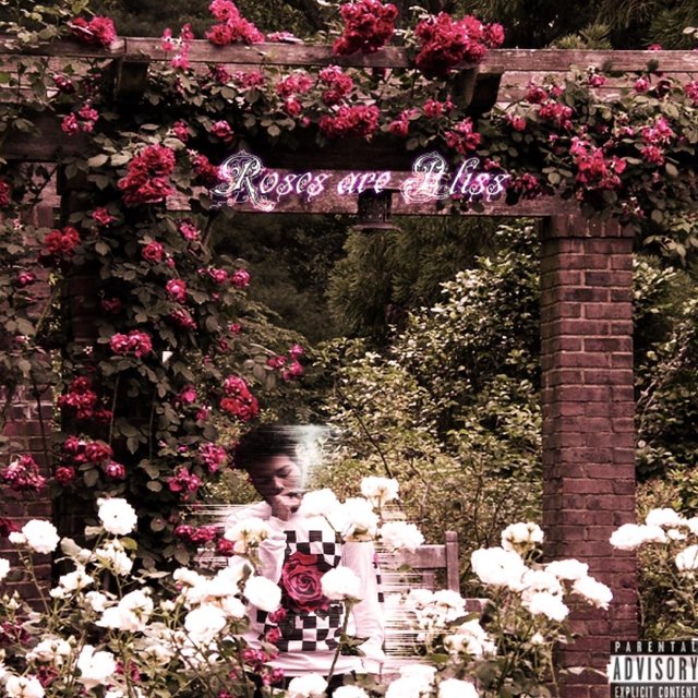 Roses Are Bliss