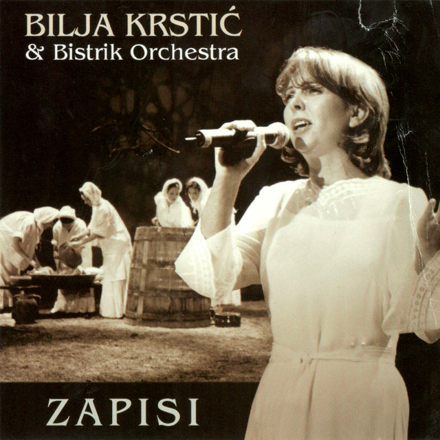 Zapisi