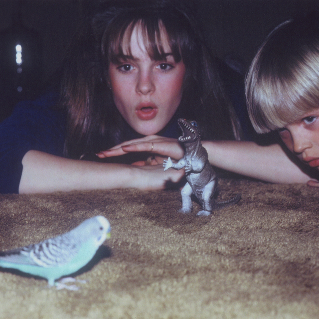 Cover art for album Masterpiece by Big Thief