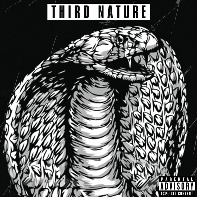 THIRD NATURE