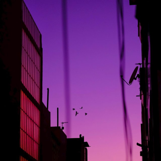 Window