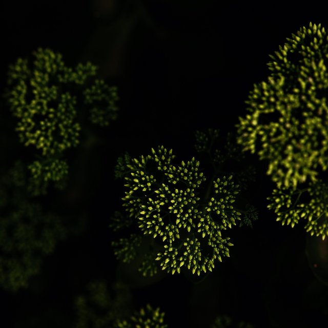 Droplets
