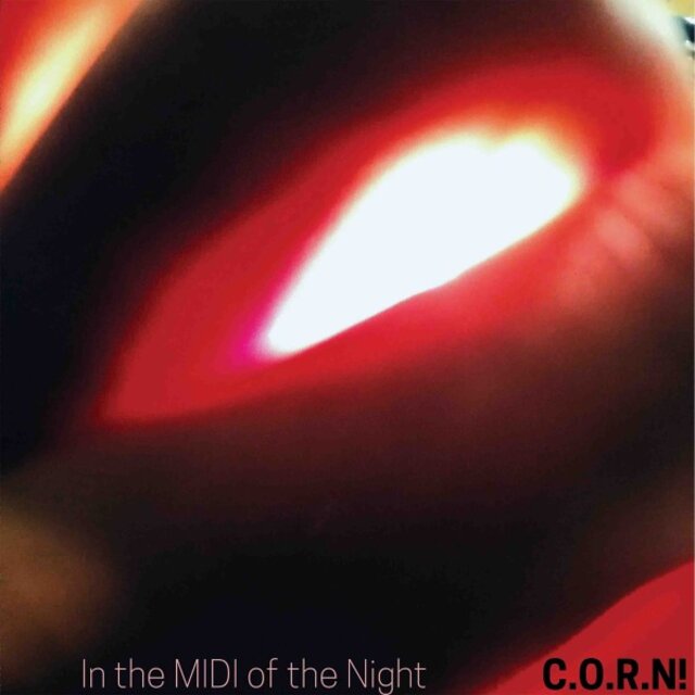 In the Midi of the Night