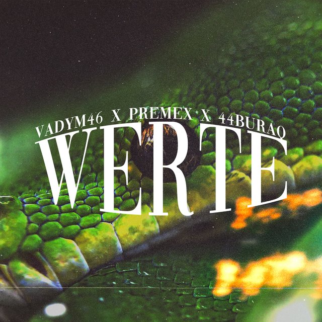 Werte