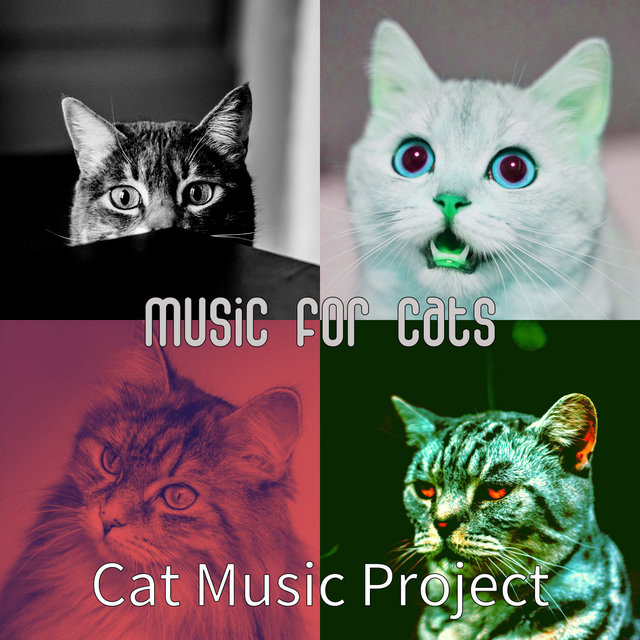 Music for Cats