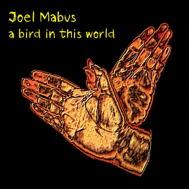 A Bird in This World