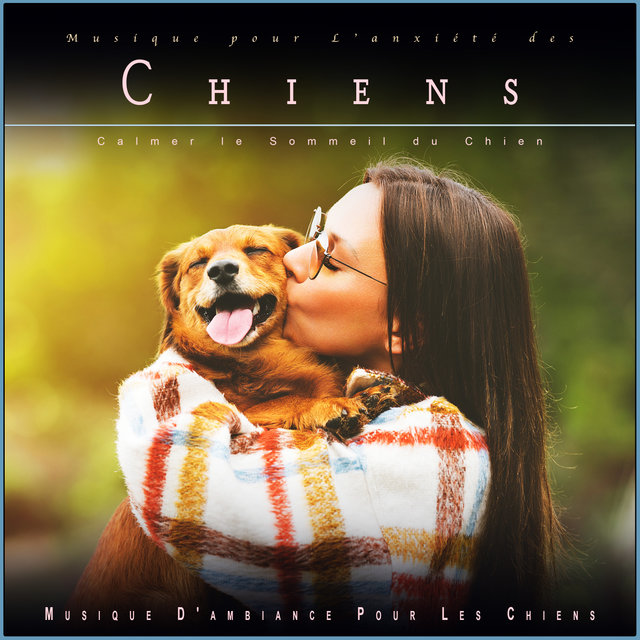 Musique pour L'anxiété des Chiens: Calmer le Sommeil du Chien