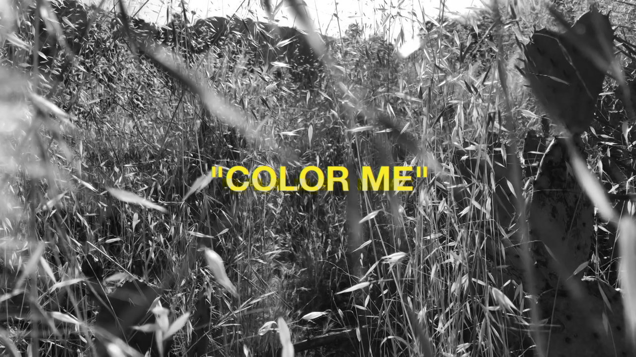 Color Me (Sun Rooms Series)