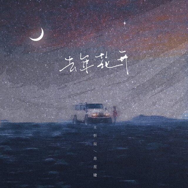 去年花开 (DJ版)