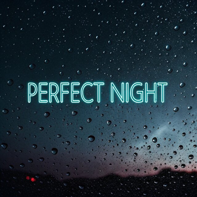 Perfect Night
