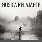 Lluvia Continua Y Canto De Pájaros