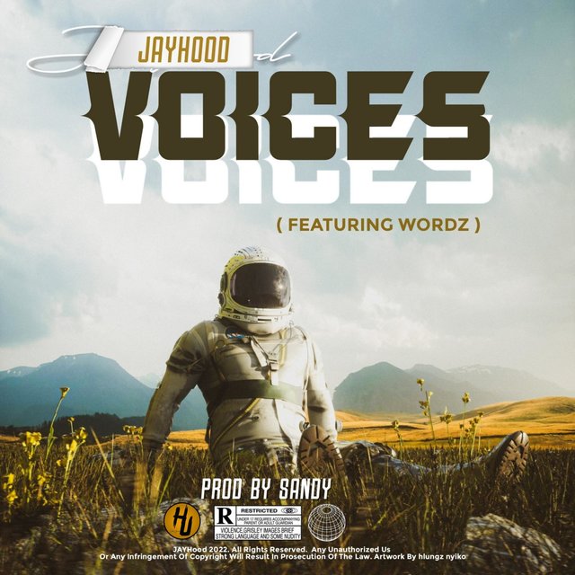 Voices (feat. Wordz)