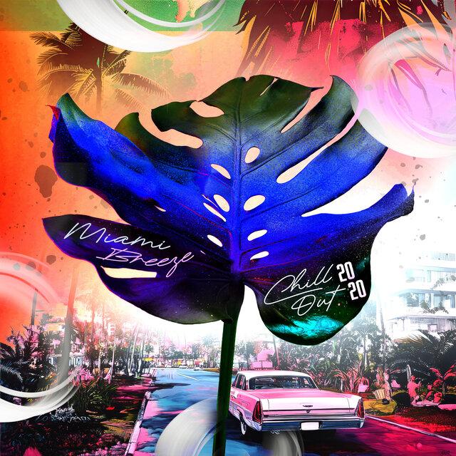 Miami Breeze