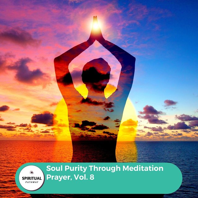 Soul Purity Through Meditation Prayer, Vol. 8