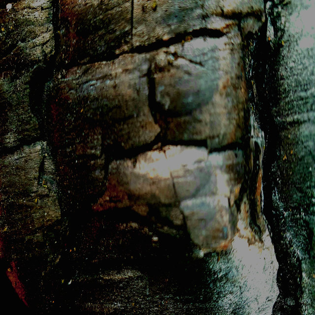 Ashen Lung Wisdom