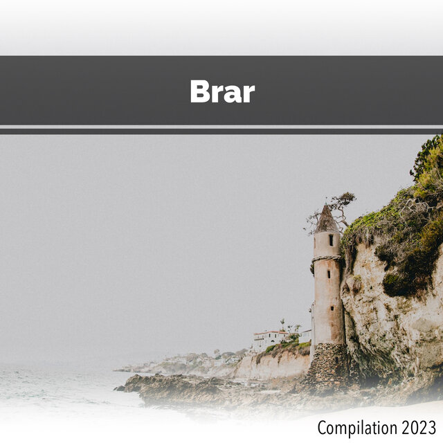 Brar Compilation 2023