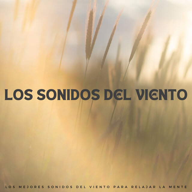 Los Sonidos Del Viento: Los Mejores Sonidos Del Viento Para Relajar La Mente