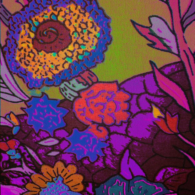 Bloom