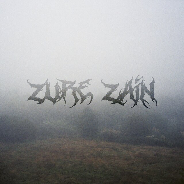 Zure Zain