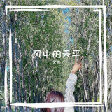 风中的天平
