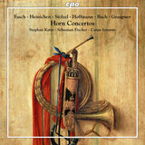 Sinfonia in D Major, GWV 511: I. Allegro