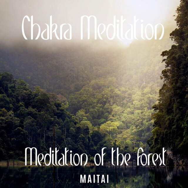 Meditation of the Forest