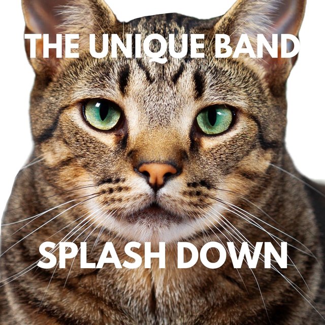 SPLASH DOWN
