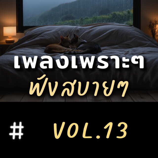 รวมเพลงเพราะๆ ฟังสบายๆ 2025 อัลบั้ม13