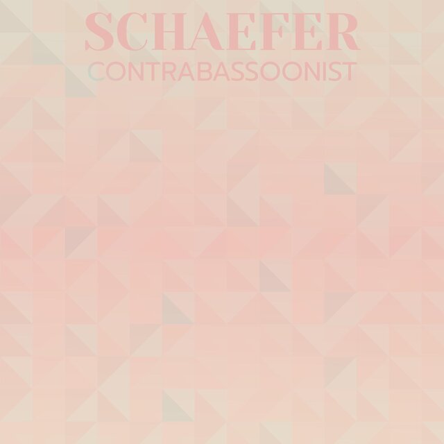 Schaefer Contrabassoonist