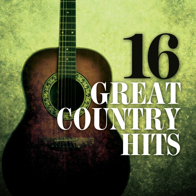 16 Great Country Hits