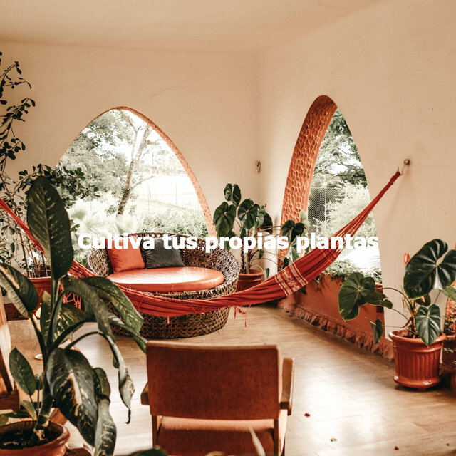 Cultiva tus propias plantas